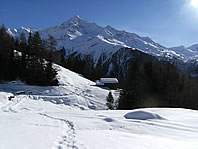 unisci al piacere dello sci il gusto di un'escursione con le ciaspole: la tua vacanza in Valtellina diventer indimenticabile
